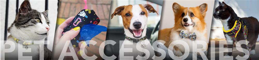 Pet Accessories
